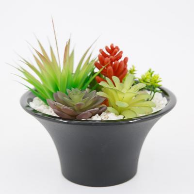 China Minimalist Artificial Succulent Plants In Modern Ceramic Home Decor Faux Potted Greenery for sale