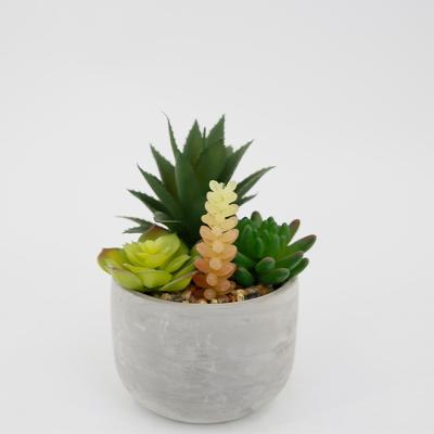 China CLASSIC Artificial Succulent Plants In Pot Modern Concrete Modern Home Decor Faux Potted Greenery for sale