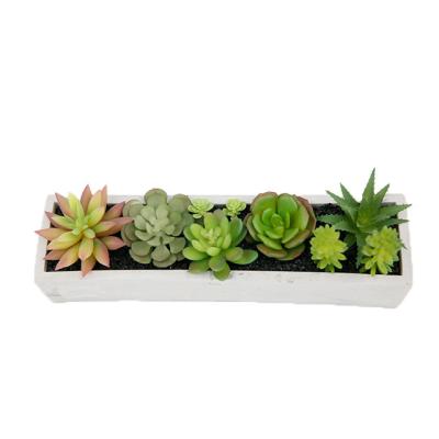 China CLASSIC Artificial Succulent Plants In Pot Modern Concrete Modern Home Decor Faux Potted Greenery for sale