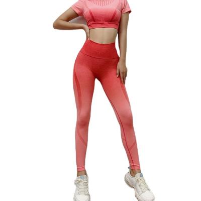 China Breathable Ready To Ship Seamless Women Fitness Leggings Crop Yoga Short Sleeve Sets for sale