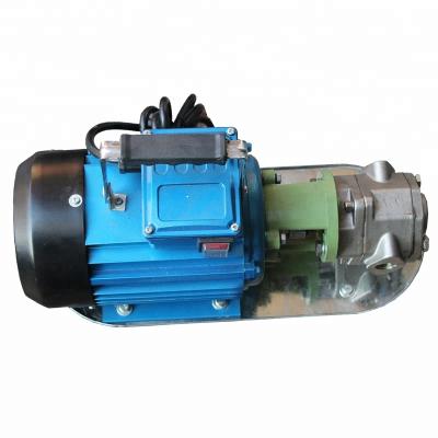 China portable oil gasoline,benzene transfer pump/electric wcb oil transfer pump/manual gear oil transfer pump for sale