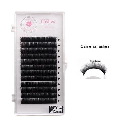 China Professional Fan Camellia Mink Blooming Camellia Lashes Neicha Eyelash Extension Easy 2019 Natural Soft Amazon Success for sale