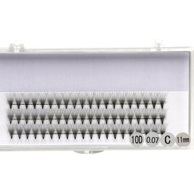 China Eyelash Extensions New Free Flower Volume Lashes 2D Different 3D 4D 5D 6D 10D 15D 20D 0.05 0.07 0.10 Premade C D Fanned Lahes for sale