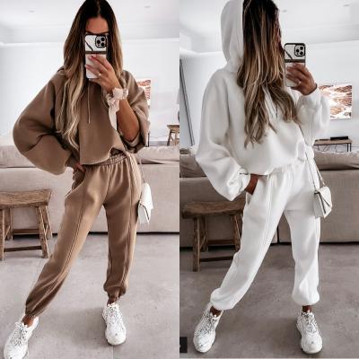 China 2021 QUICK DRY Casual Sweat Suit Sets Solid Color Hoodie and Pants Sets Women's 2 Piece Sports Tracksuit for sale