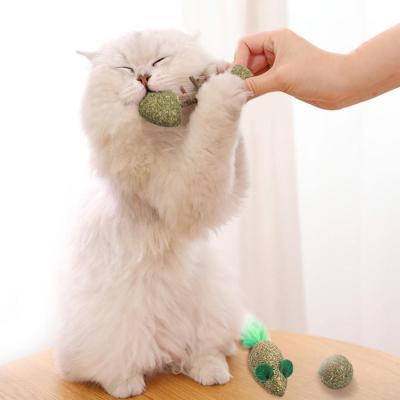 China Edible Catnip Safe Natural Pure Viable Toy Soothing Cat Hair Catmint Molar Toy Ball Tooth Cleaning Catnip Toy Ball /Fish/Mouse for sale