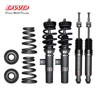 China Vehicle Adjustable Coilover Dual Density - S for Ford Fusion; Lincoln MKZ 2.0T for sale