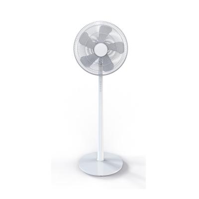 China Hotel 230V Good Quality 5 Blades 16 Inch Electric Floor Standing Fan For Home Use for sale