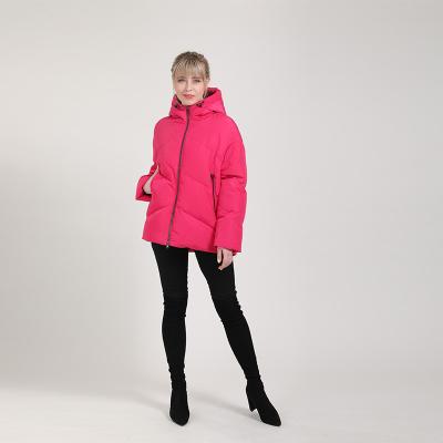 China New Wholesale Good Quality Fashion Breathable Cotton Plus Size Winter Coat Women Jacket for sale