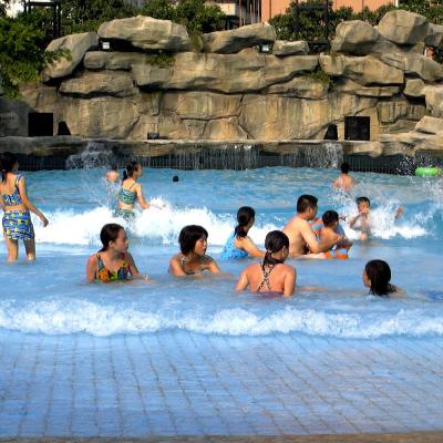 China Profi-Wasserpark Wellenpool Einfache Installation mit Rettungsschwimmern zu verkaufen