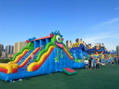 China Alliance Inflatable Bouncer Playground Bounce House Water Slide Children Bouncy Castles water inflatable bounce house Fo à venda