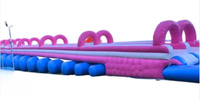 Cina Funny Colorful Water Slide Commercial Customized Large Hippo Inflatable Water Slide With Pool For Sale in vendita