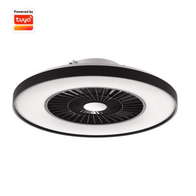 China Factory wholesale modern led lamp smart ceiling fan with light and remote for living room for sale