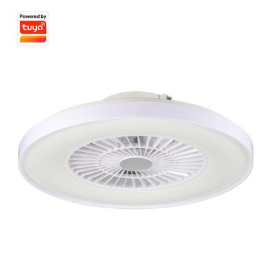 China Modern Plastic Indoor Modern Smart Version White Luxury Ceiling Fan Light Led for sale