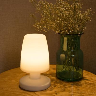 China Modern Small PE Material Rechargeable Led Table Lamps For Home Decoration for sale