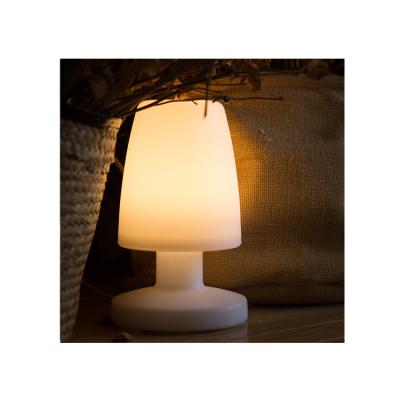 China PE Material China Table Lamp Traditional Rechargeable Led Table Lamps For Home Decoration for sale