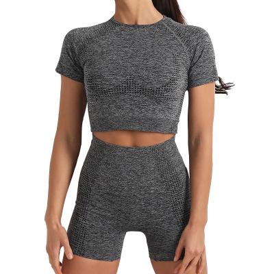 China Breathable Seamless Knit Sports Women Yoga Set Short Sleeve Shorts Yoga Clothes Fitness Yoga Shorts Suit Sexy Fitness Women Sport Women Set for sale