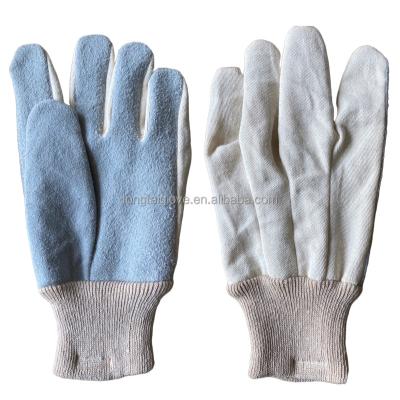 China China Nantong Tongtai Anti-Slip Garden Gloves Cultivate Work Gloves Leather Canvas Gardening Gloves for sale