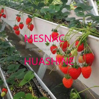 China Automated Storage And Retrieval System Warehouses For Vertical Plant Vegetable Growth All Design Available for sale