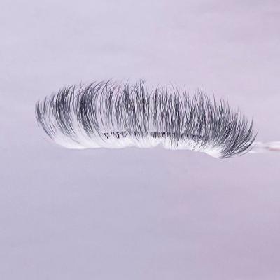 China Synthetic High Quality Volume Eyelash Gradient Extension  False Eyelashes Eyelash Extensions for sale