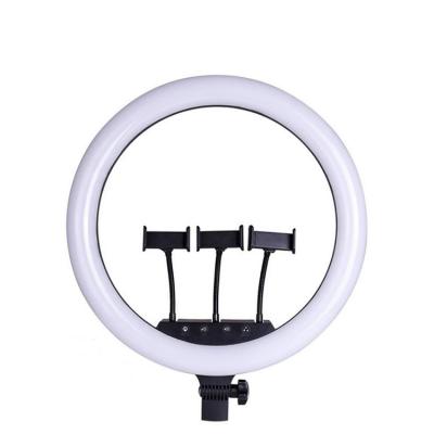 China 18 Inch Makeup Camera Photography LED Ring Light Light with Tripod Phone Remote Tiktok Mount for Makeup/Photo/Studio/Phone/Video for sale