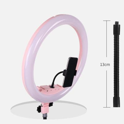 China Alloy+ Aluminum Plastic Portable Adjustable Brightness 18 Inch Youtube Light Selfie Tik Tok LED Ring Light With Phone Holder For Live Video for sale