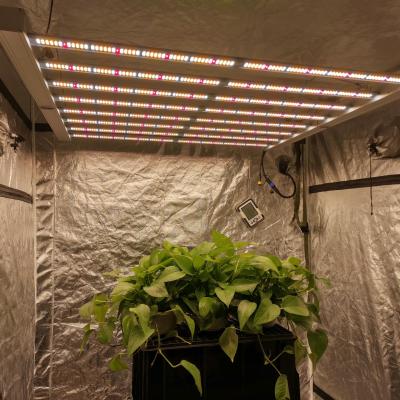 China Dimmable Sunritek 660W 8 Bars Grow Lights Led Equal 1000W HPS Growing Light For Indoor Plants for sale