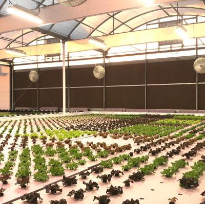 China Seed Starting 330W / 530W / 660W LED Grow Light High Power Grow Lights For Agricultural Greenhouses for sale