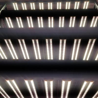 China Seed Starting Light 40W 60W DIY Hydroponics LED Grow Light Bar Leaf Plant Indoor Led Grow Light For Vertical Farming for sale