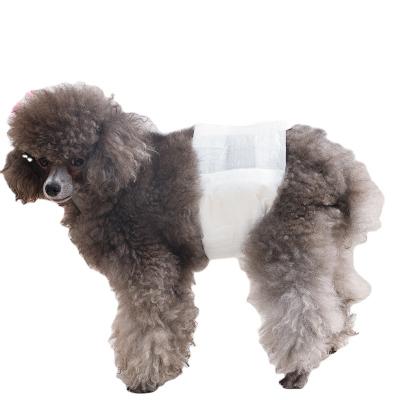 China Pakeway Stocked Pet Diaper - Male - Male Large Dog 12pcs/pack Diaper Pet Supplies for sale