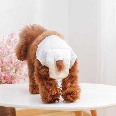 China Pakeway Stocked Pet Diaper - Female - Small Dog 10pcs/pack Female Diaper Pet Supplies for sale