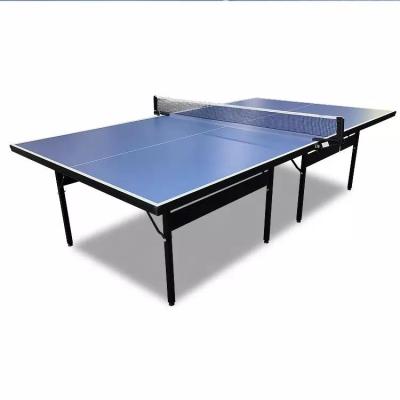 China Indoor Double Fist Table Tennis Ball Ping Paddles Ping Pong Balls Tennis Table Building Table Tennis Ping Pong Gym Racket Table Tennis for sale