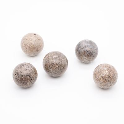 China Wholesale Natural Sphere Crystal Ball Dinosaur Bone Fossil Healing From China for sale