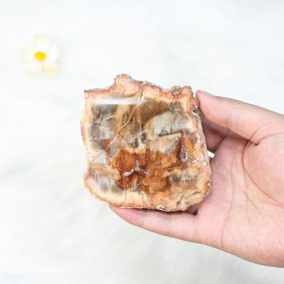 China Wholesale Healing Stone Crystal Fossil Wood Slice Europe Low Price Natural Rock Slice For Home Decoration for sale