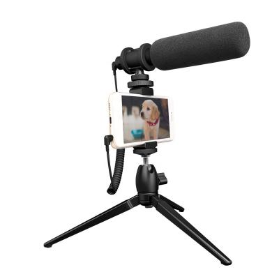 China Professional Live Microphone Shotgun Cable Video Streaming Microphone with Tripod Stand for sale