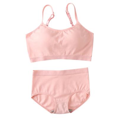 China New Breathable One Piece Cotton No Steel Ring Small Breast Push Up Bra Suit U Back Wrapped Chest Bra Briefs Set For Yong Ladies for sale