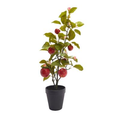 China Indoor Potted Artificial Pomegranate Green Artificial Fruit Plant Garden Plants Garden Plant for sale