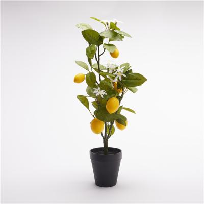 China Contemporary Wholesale Indoor Decoration Plant Artificial Lemon Fruit Tree Plant for sale