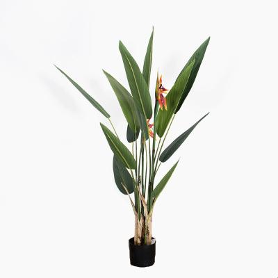 China Garden Fake UV Green Artificial Plants Banana Tree Bonsai Trees Bird Of Paradise Artificial Plastic for sale