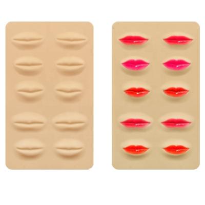 China Ideal for Tattoo or Makeup Beginners or Professionals to Practice Cosmetic Silicone Practice Sheet 3D Lips Eyebrow Artificial Skin Pad for Permanent Microblading Tattoo Artist for sale