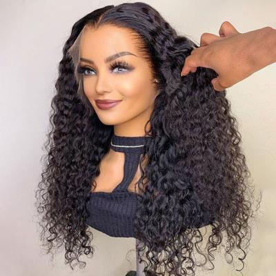 China Other 180 Density Swiss Lace Wig For Women 13X6 Hd Color Water Wave Hair Lace Front Wig for sale