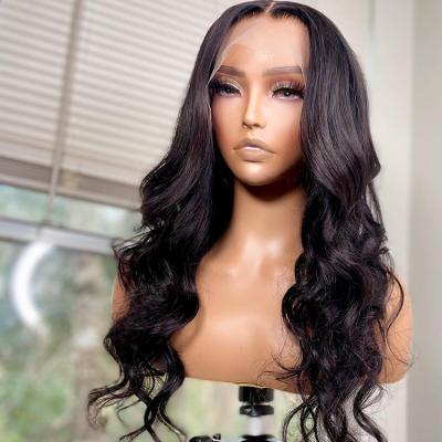 China Other Natural Hair Wig For Women 100% Virgin Human Hair Hd Lace Wigs Cuticle Colored Aligned Wigs for sale