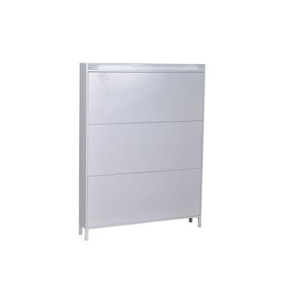 China Eco - Friendly Metal Shoe Storage Rack Cabinet From China for sale