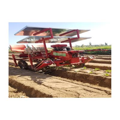 China Other China Manufacturer Self Propelled Paddy Machine Price Paper Pot Transplanter for sale