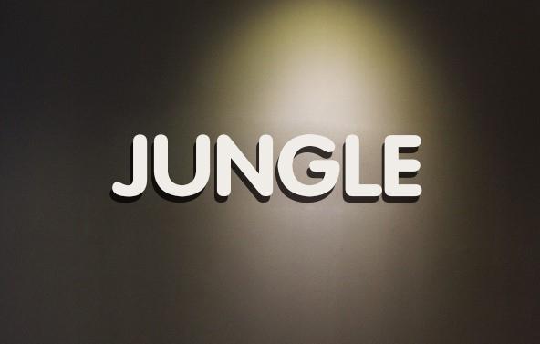 Verified China supplier - Jungle Electronic Technology Co., Limited