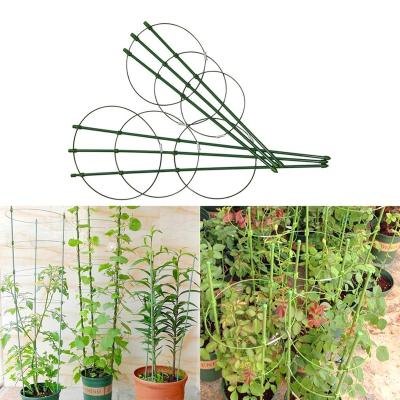 China Plastic Coated Garden Fence Durable Creative Climbing Vine Vine Support Frame 45cm/60cm Iron Plant Support Frame Garden Balcony Plant Flower Trellis for sale