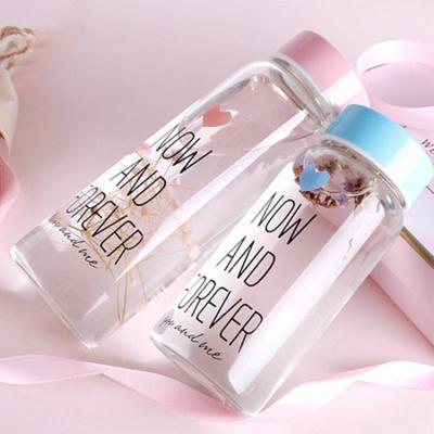 China Hot Selling Leak Free Portable Reusable Clear Glass Bpa Viable Glass Water Bottle for sale