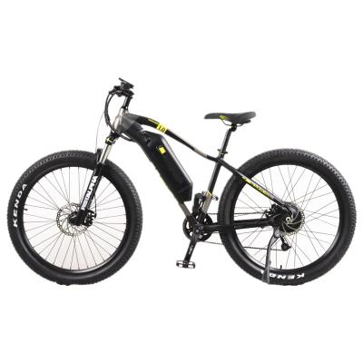 China 350W 27 Speeds Big Wheels Standard Mountain Tires Big Wheels 350W 27 Speeds Beach Big Wheels Wild Camping Motocross Bike Electric Motorcycle Off-Road Fat Bike Te koop