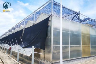 China 8m 9.6m 12m Span Width Hydroponic Greenhouse Hot Galvanized Steel Pipe Greenhouse for sale