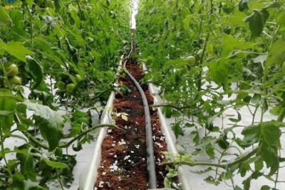 China PVC-substraat planten goot hydroponics voor het planten van aardbeien en tomaten Te koop