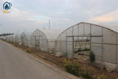 China Arched Temperature Control Tunnel Green Houses With Outside Shading System for sale